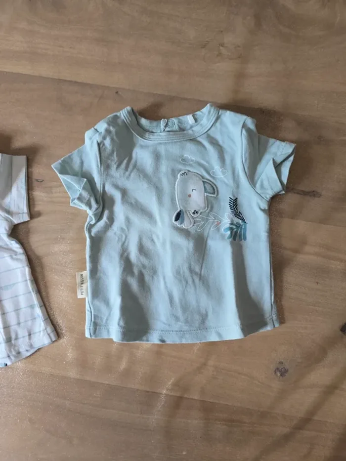 Lot de 2 tee-shirts - photo numéro 3