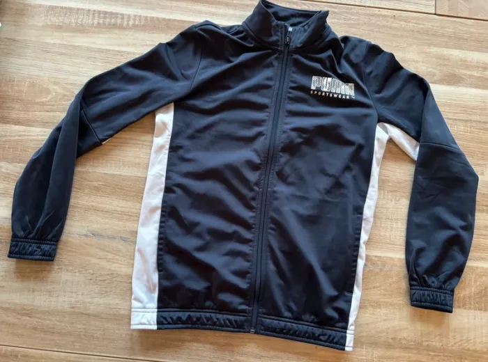 Ensemble Puma