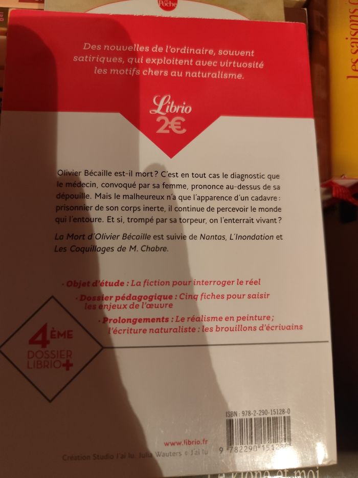 La mort d'olivier Becaille - photo numéro 2