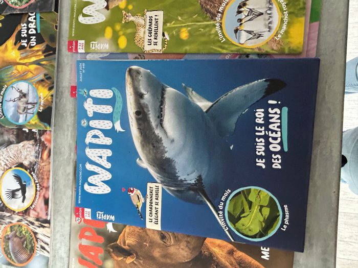 11 magazines wapiti octobre à août 2024 - photo numéro 2