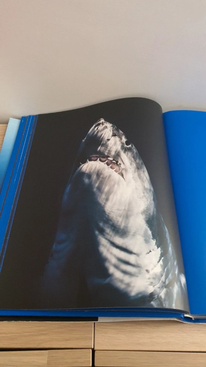 Livre Requins Michel Muller Taschen - photo numéro 4