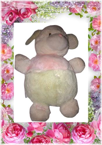 💫🌸Peluche 🌸💫