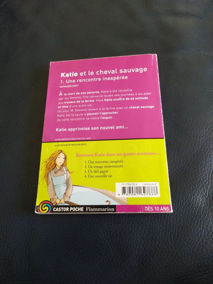 Katie et le cheval sauvage de Kathleen Duey - photo numéro 2