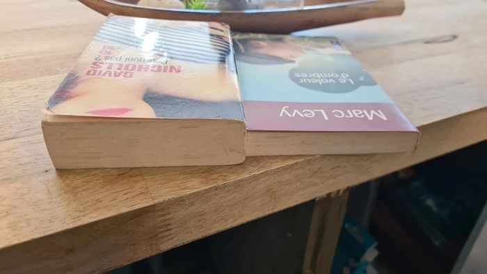 Lot 2 livres format poches - photo numéro 4