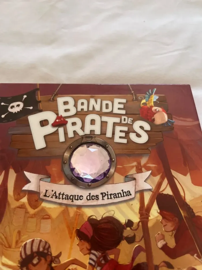 Livre bande de pirates - photo numéro 2
