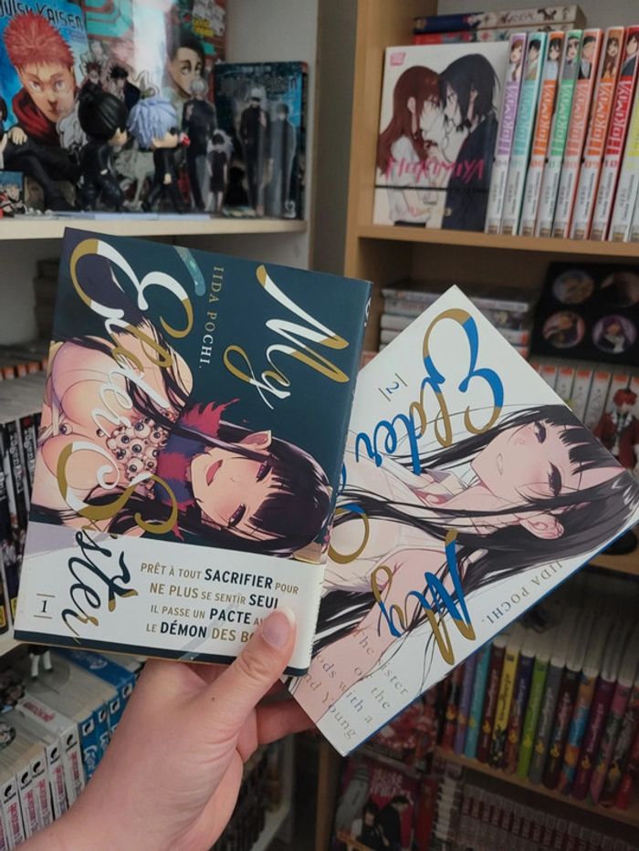 Manga my elder sister tomes 1 et 2