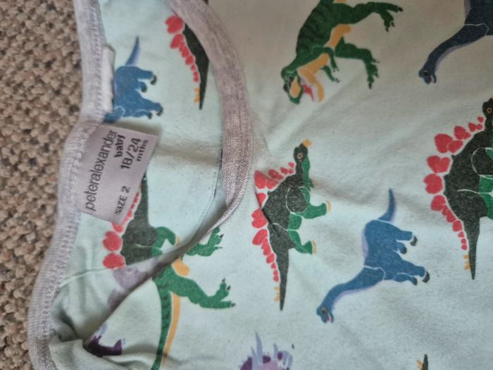 Pyjama 2 pièces short peter alexander 24 mois - photo numéro 2