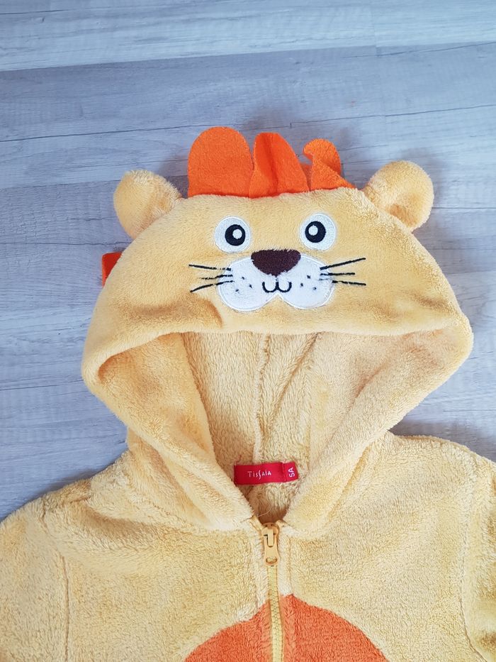 Combi Lion 5 ans - photo numéro 5