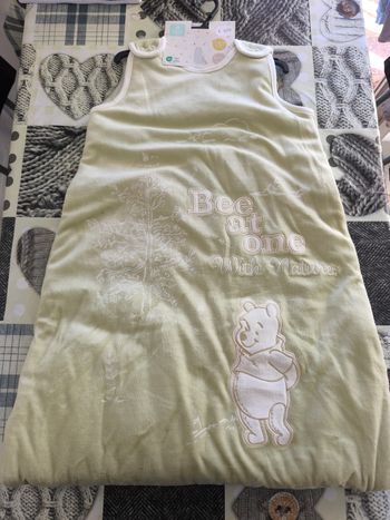 Gigoteuse Winnie the pooh