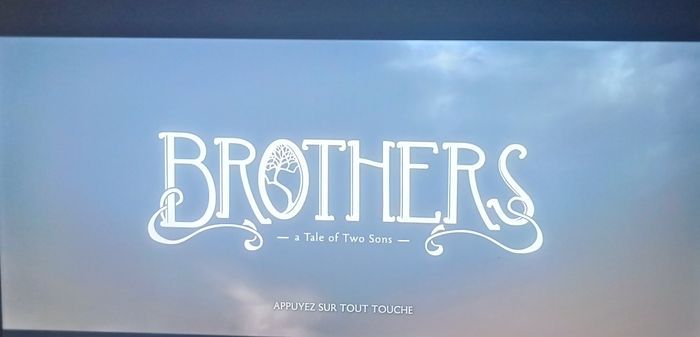 😍brothers a tale of two sons sur PS4/ps5 - photo numéro 2