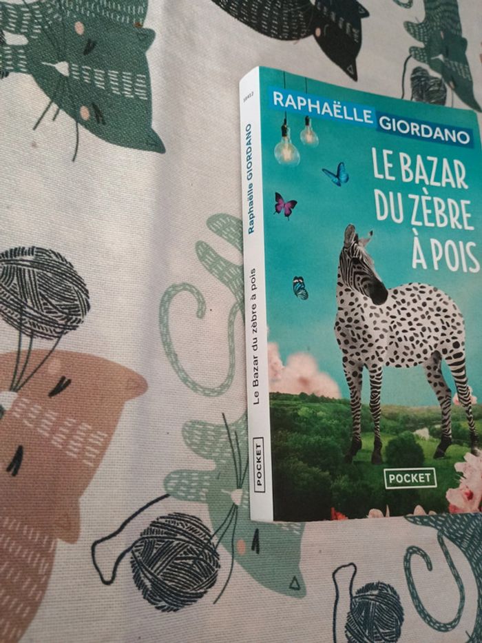 Le bazar du zèbre a pois - Raphaëlle Giordano - photo numéro 2