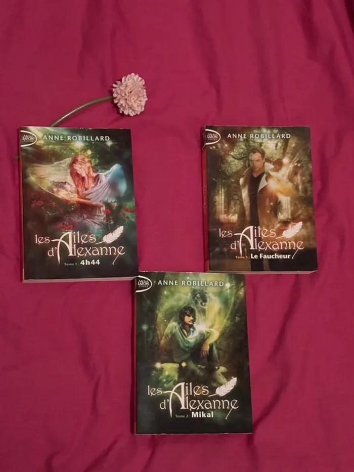 Les ailes d’Alexanne lot
