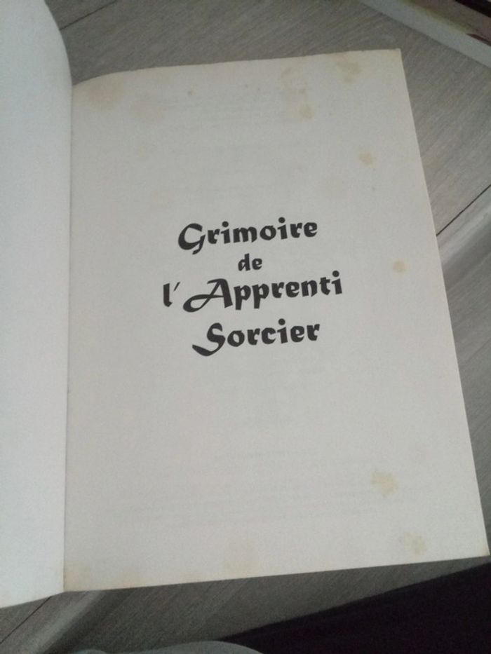 Grimoire de l'apprenti sorcier - photo numéro 5