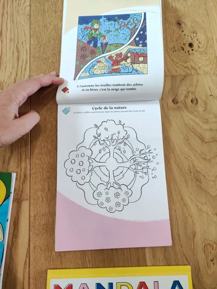 Lot 3 livres de coloriage - très bon état - photo numéro 9