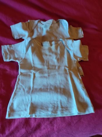 lot 2 tee shirt blanc petit bateau 6 mois