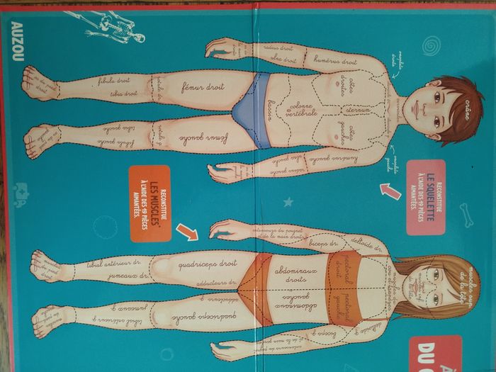 À la découverte du corps humain - photo numéro 6