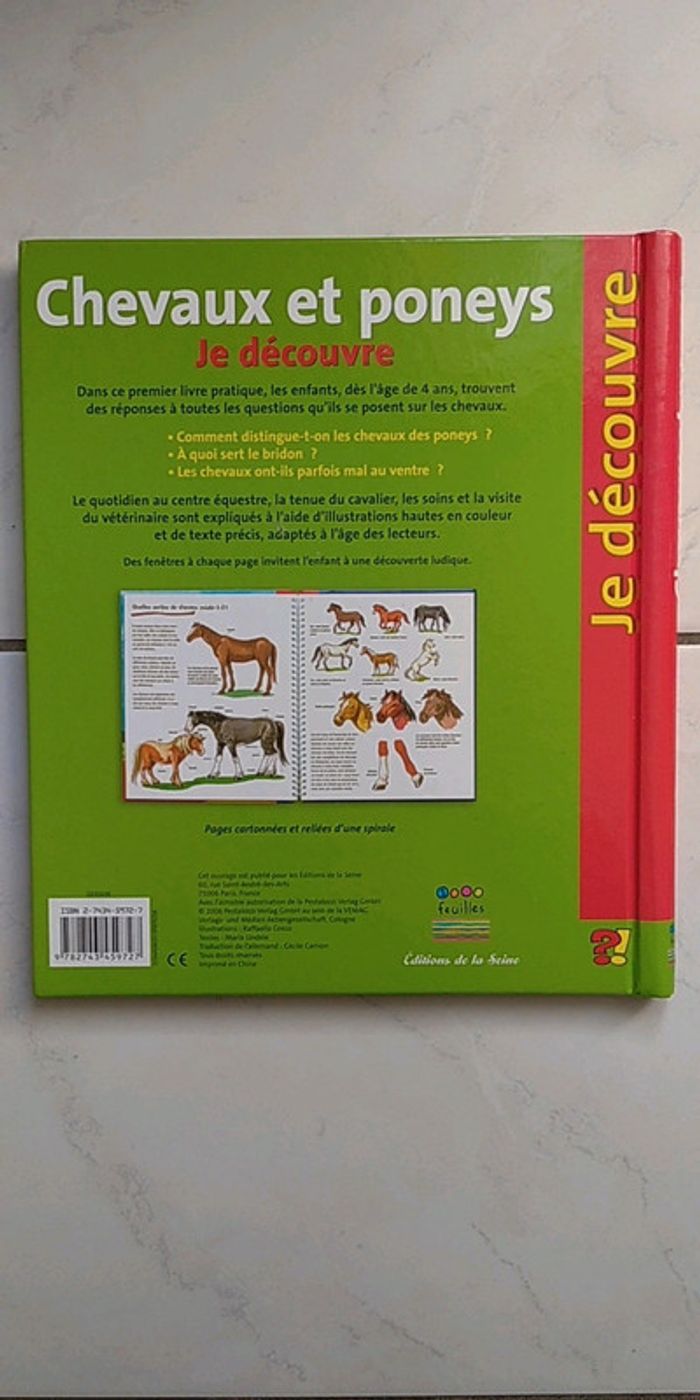 Chevaux et poneys - photo numéro 2