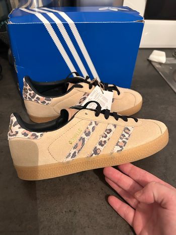Adidas gazelle