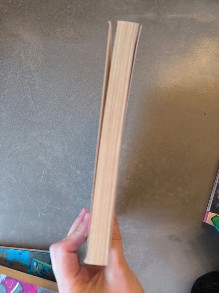 20 allée de la danse - photo numéro 3