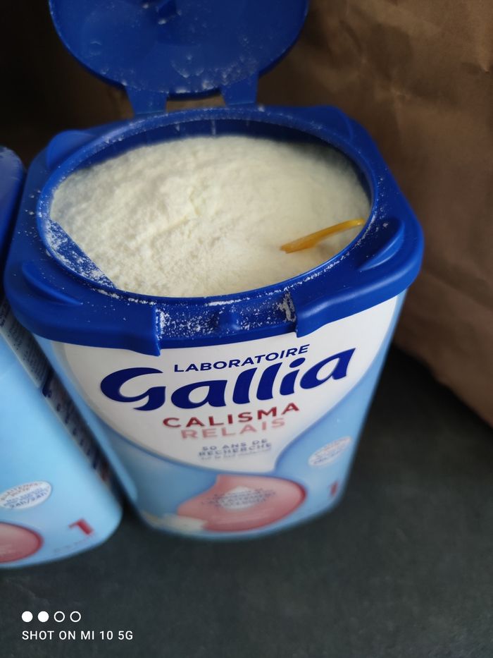 Gallia calisma - photo numéro 6