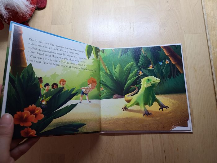 Le volcan de la soufrière - photo numéro 9