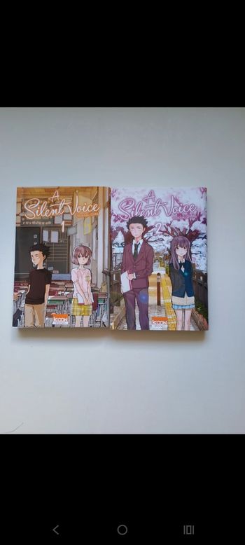 Lot A silent voice