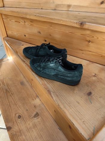 Puma suede