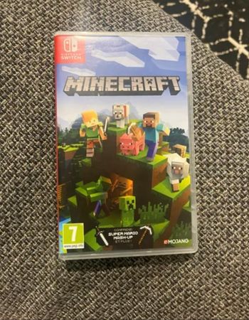 Jeu switch Minecraft