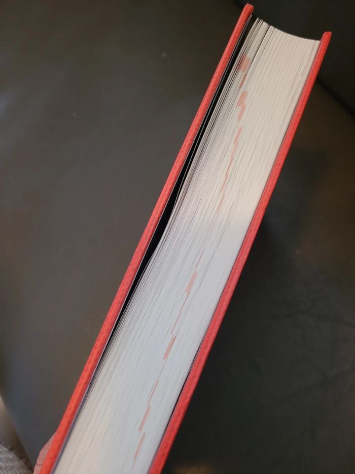 L'essentiel du français sans fautes - photo numéro 10