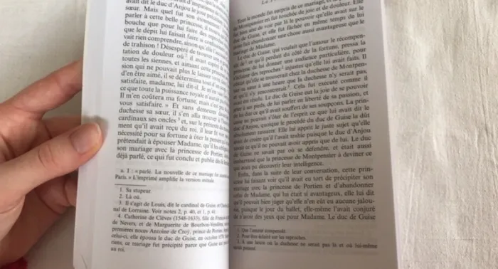 livre de Madame de lafayette : La princesse de Montpensier - photo numéro 4