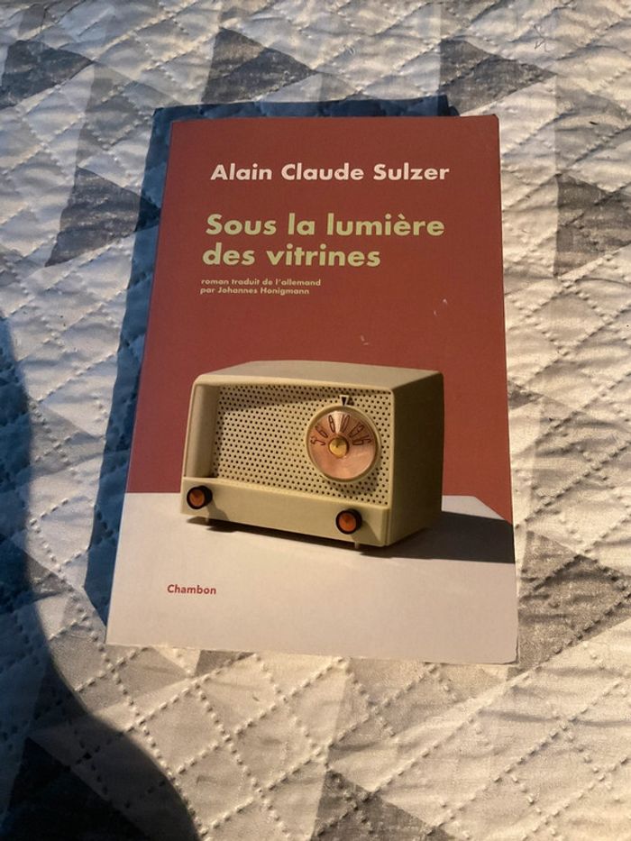 # sous la lumière des vitrines Alain Claude Sulzer - photo numéro 2