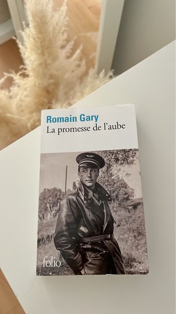 Livre la promesse de l’aube de Romain gary 
