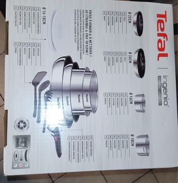 Batterie ingenio tefal 