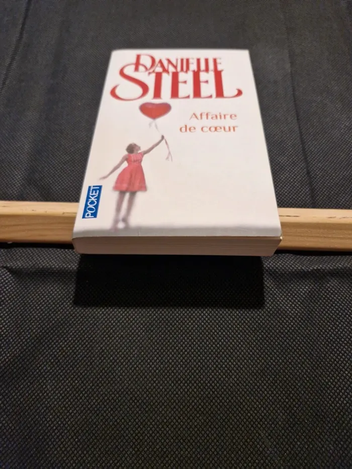 Affaire de coeur - Danielle Steel - photo numéro 2