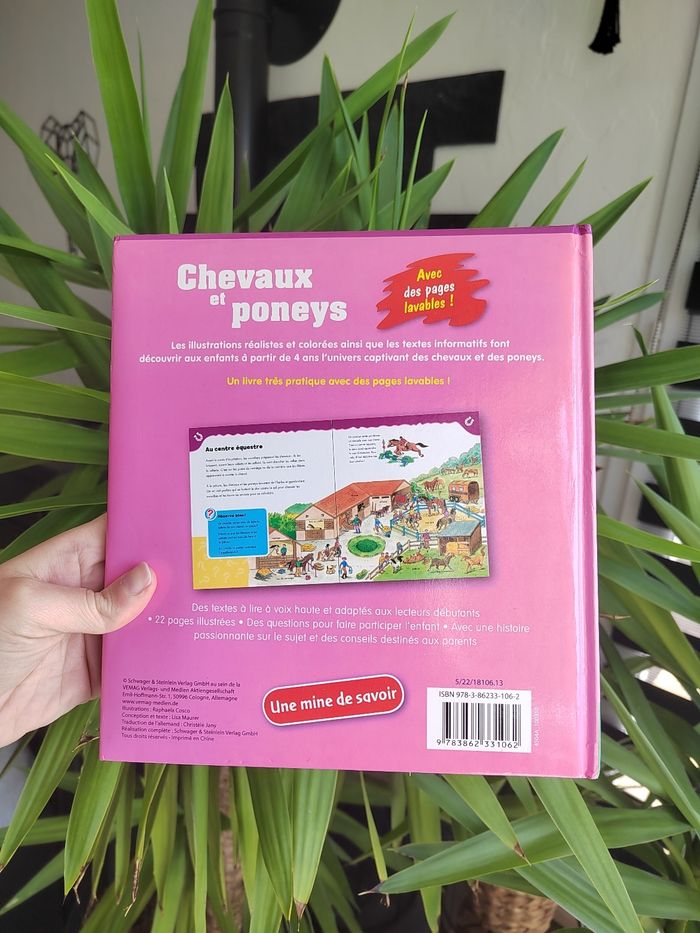 Lot de 2 livres sur les  chevaux pour enfant - photo numéro 6