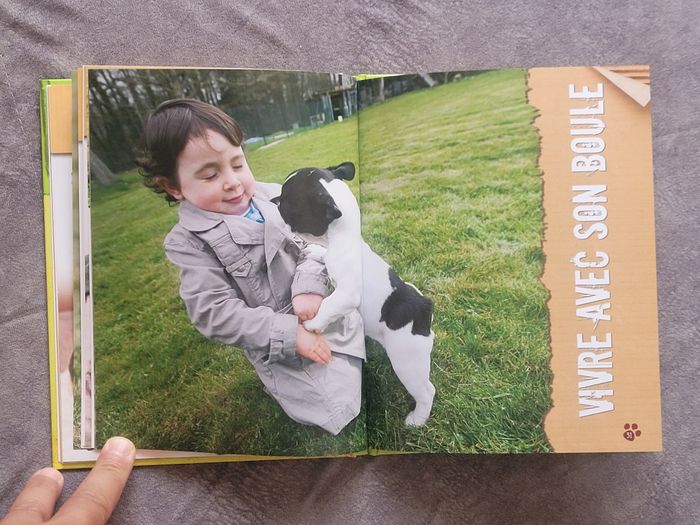 Le bouledogue français Emmanuelle Dal'Secco - photo numéro 6
