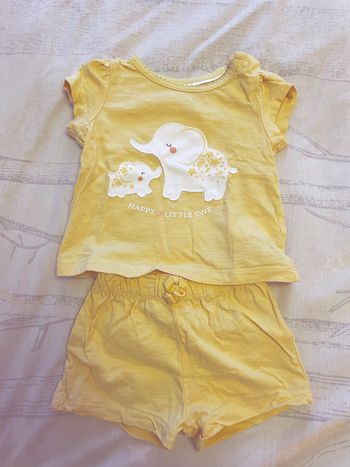 Ensemble éléphant léger