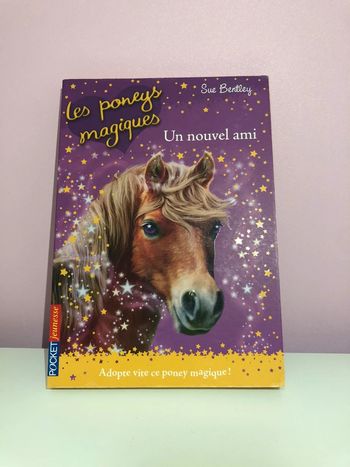 Livre Les poneys magiques tome 1