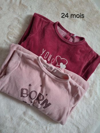 Lot 2 pyjamas velours T24mois
