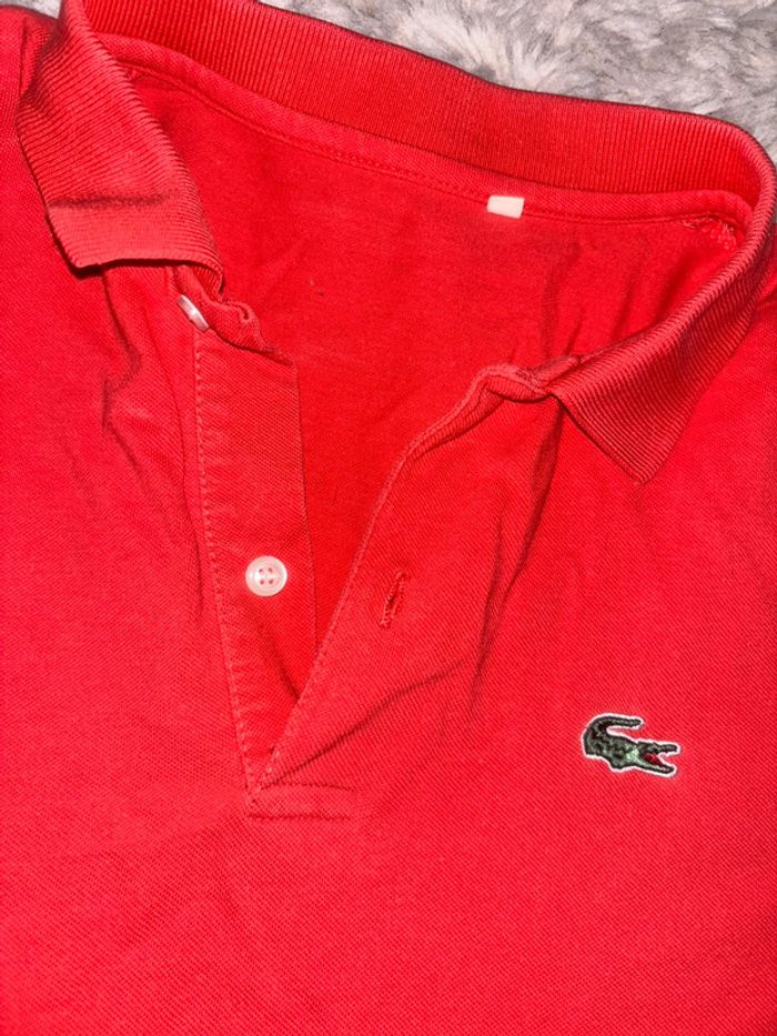 Polo Lacoste homme - photo numéro 2