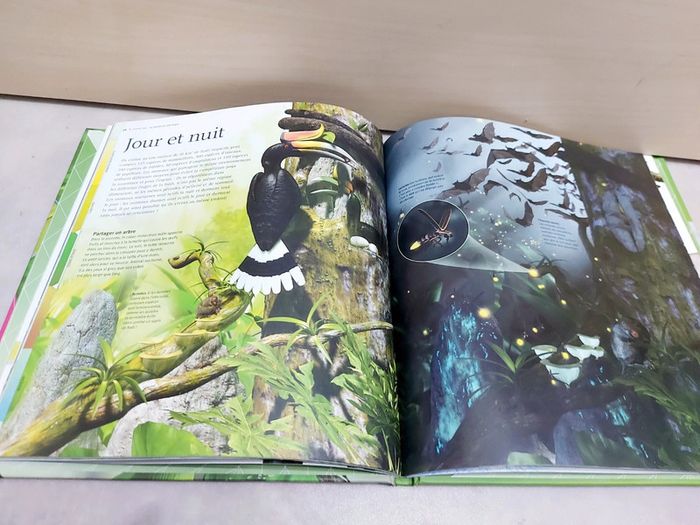 🌺 Livre : La forêt vierges à la loupe - photo numéro 3
