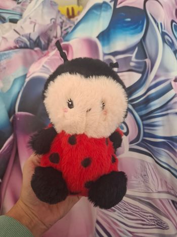 Peluche coccinelle