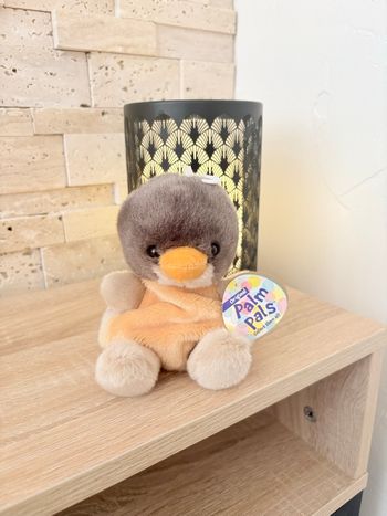 Palm pals Rudi rouge-gorge