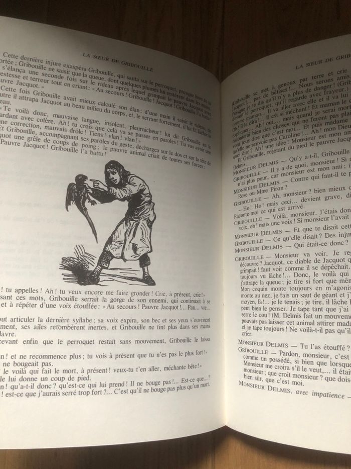 La sœur de gribouille - Comtesse de Ségur - photo numéro 3