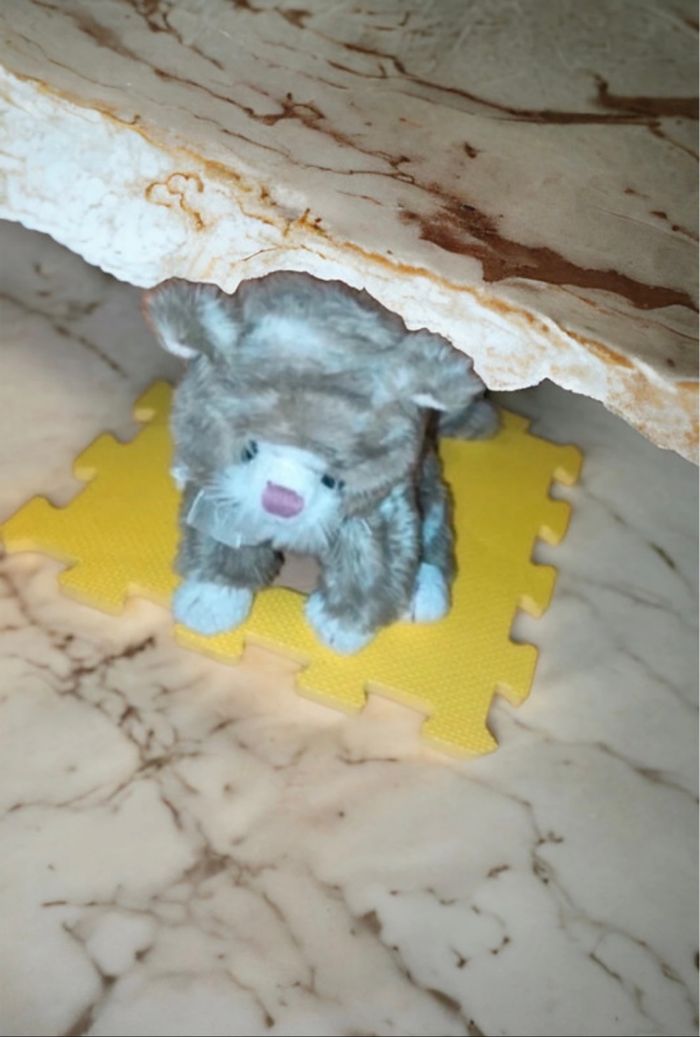Peluche chatt🧸 - photo numéro 2