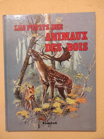 Les petits des animaux des bois