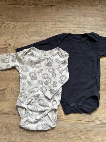 Lot 2 bodies