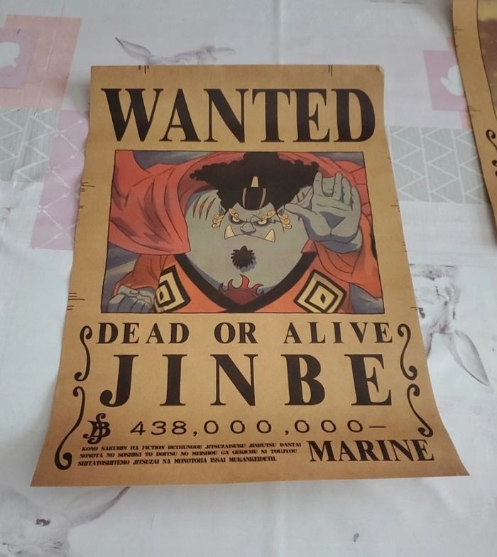 Avis de recherche one piece
