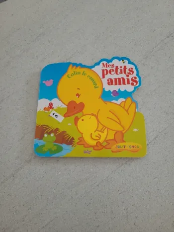 Livre mes petits amis