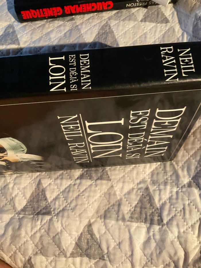 #demain est déjà si loin Neil Ravin - photo numéro 4